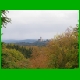 Rennsteig_002a.jpg