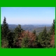 Rennsteig_010.jpg