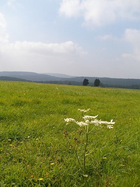 Rennsteig