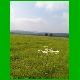 Rennsteig_039.jpg