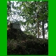 Rennsteig_044.jpg