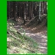 Rennsteig_046.jpg
