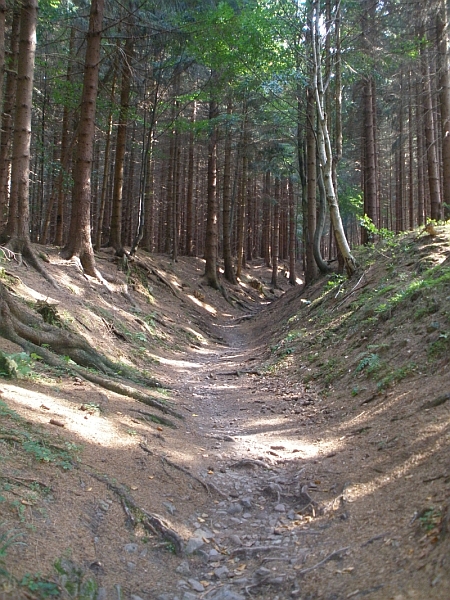 Rennsteig