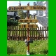 Rennsteig_066.jpg
