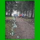 DSCF0025.jpg