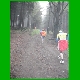 DSCF0026.jpg