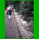 DSCF0053.jpg