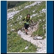 Zugspitz-Ultratrail_023.JPG
